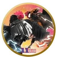 11uu