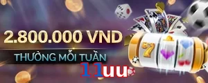 11uu