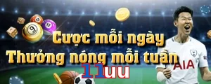 11uu